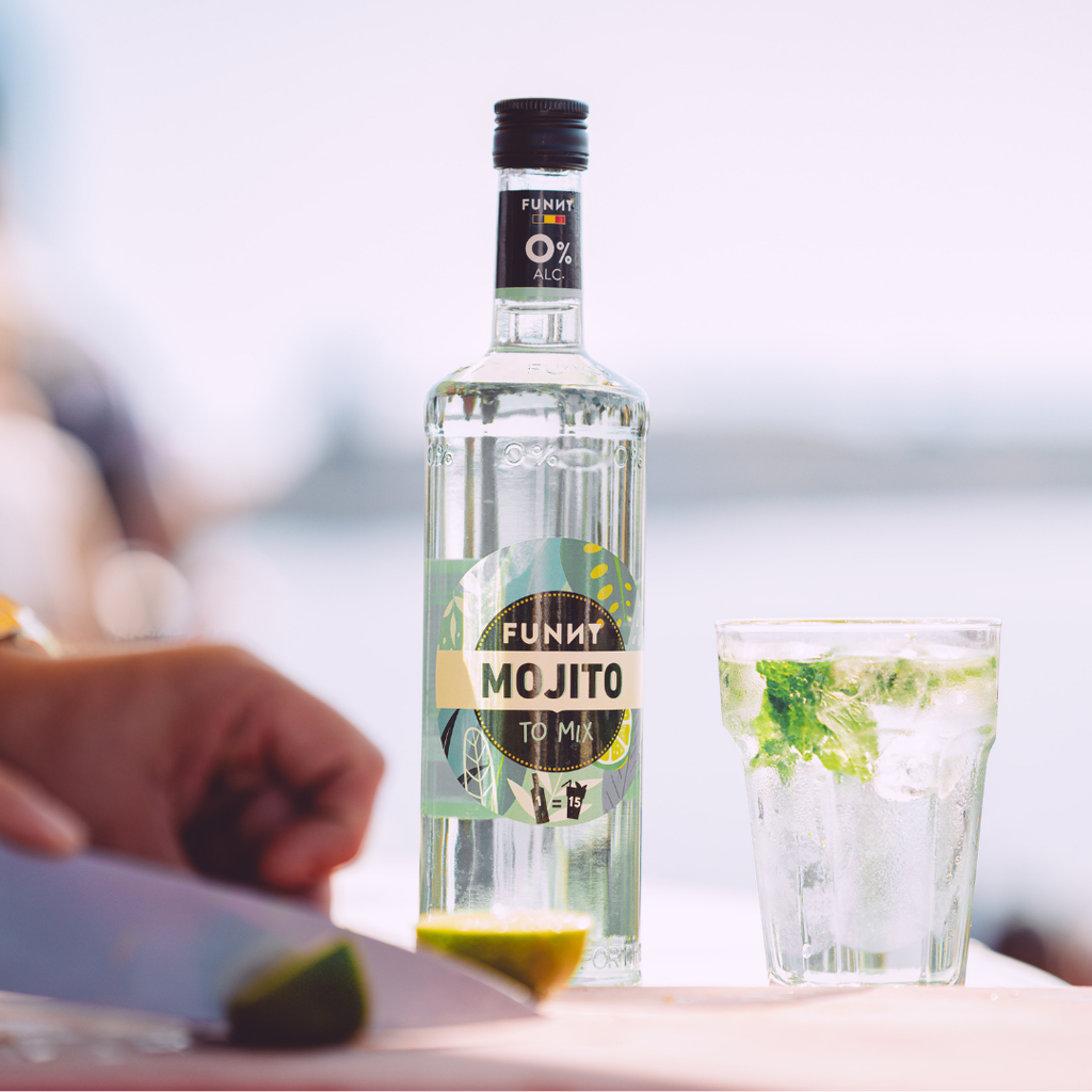 🌿 6-PACK of FUNNY Mojito bottles – 0% alc.